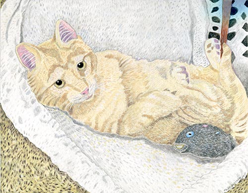 Custom Cat Portrait: Bicuit