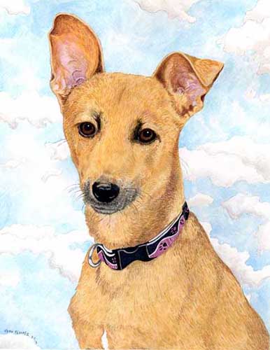 Custom Portrait: Cheyenne Autumn