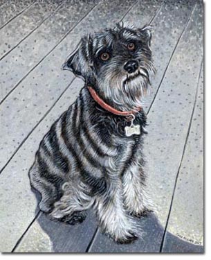 Custom Portrait: Cody