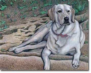 Custom Portrait: Dixie