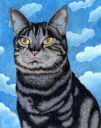 Custom Cat Portrait: Doonie