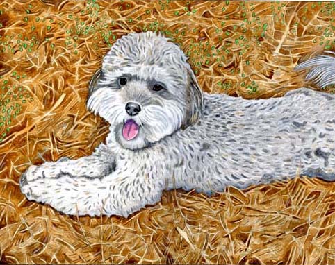 Custom Portrait: Holly