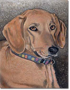 Custom Portrait: Honey
