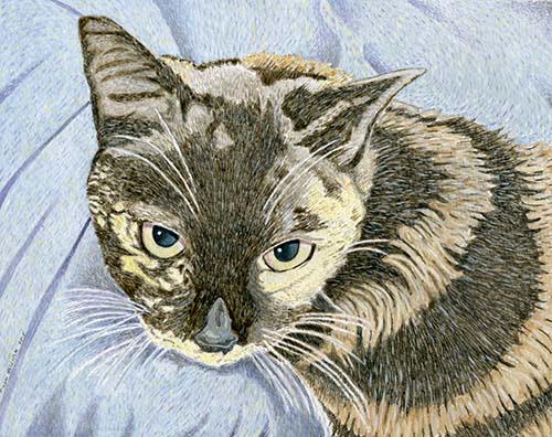 Custom Cat Portrait: Little Jenny