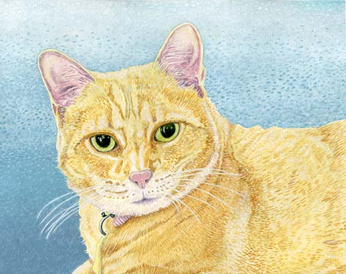 Custom Cat Portrait: Lucy