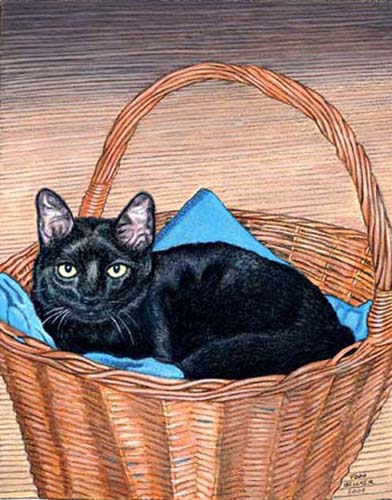 Custom Cat Portrait: Mingus