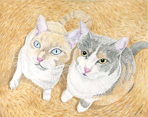 Custom Cat Portrait: Peruz & Hodge Podge