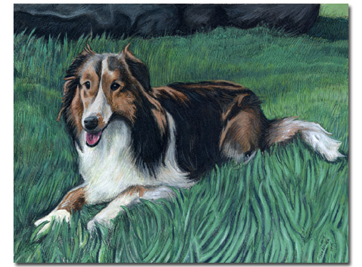 Custom Portrait: Shannon