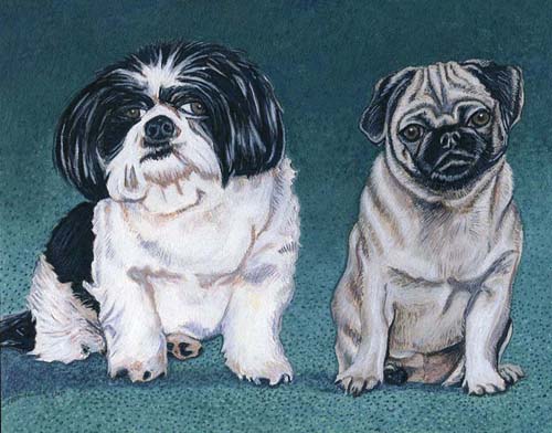 Custom Portrait: Sookie & Pip