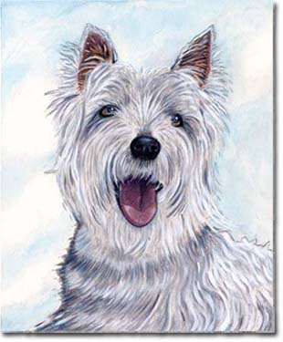 Custom Portrait: Westie 1