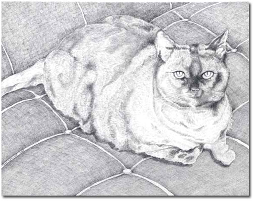 Custom Cat Portrait: Kitty