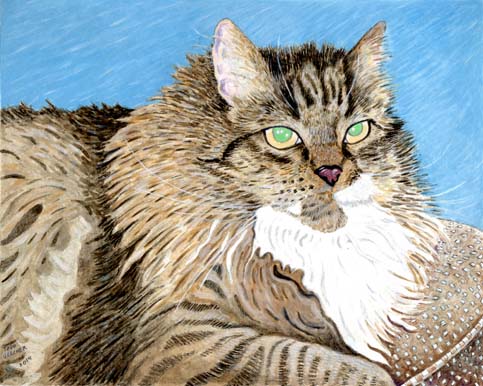 Custom Cat Portrait: Cody Cat