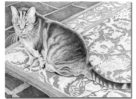 Custom Cat Portrait: Dickens