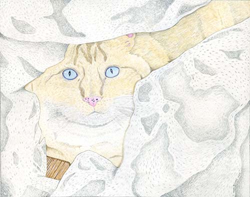 Custom Cat Portrait: Fiona
