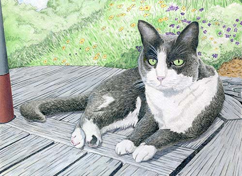 Custom Cat Portrait: Gertrude