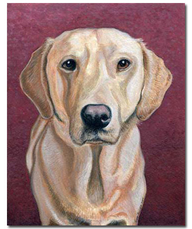 Custom Portrait: Goose