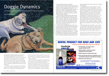 Custom Portrait: Spread from Modern Dog Magazine