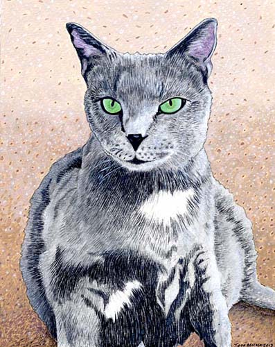 Custom Cat Portrait: Smokey